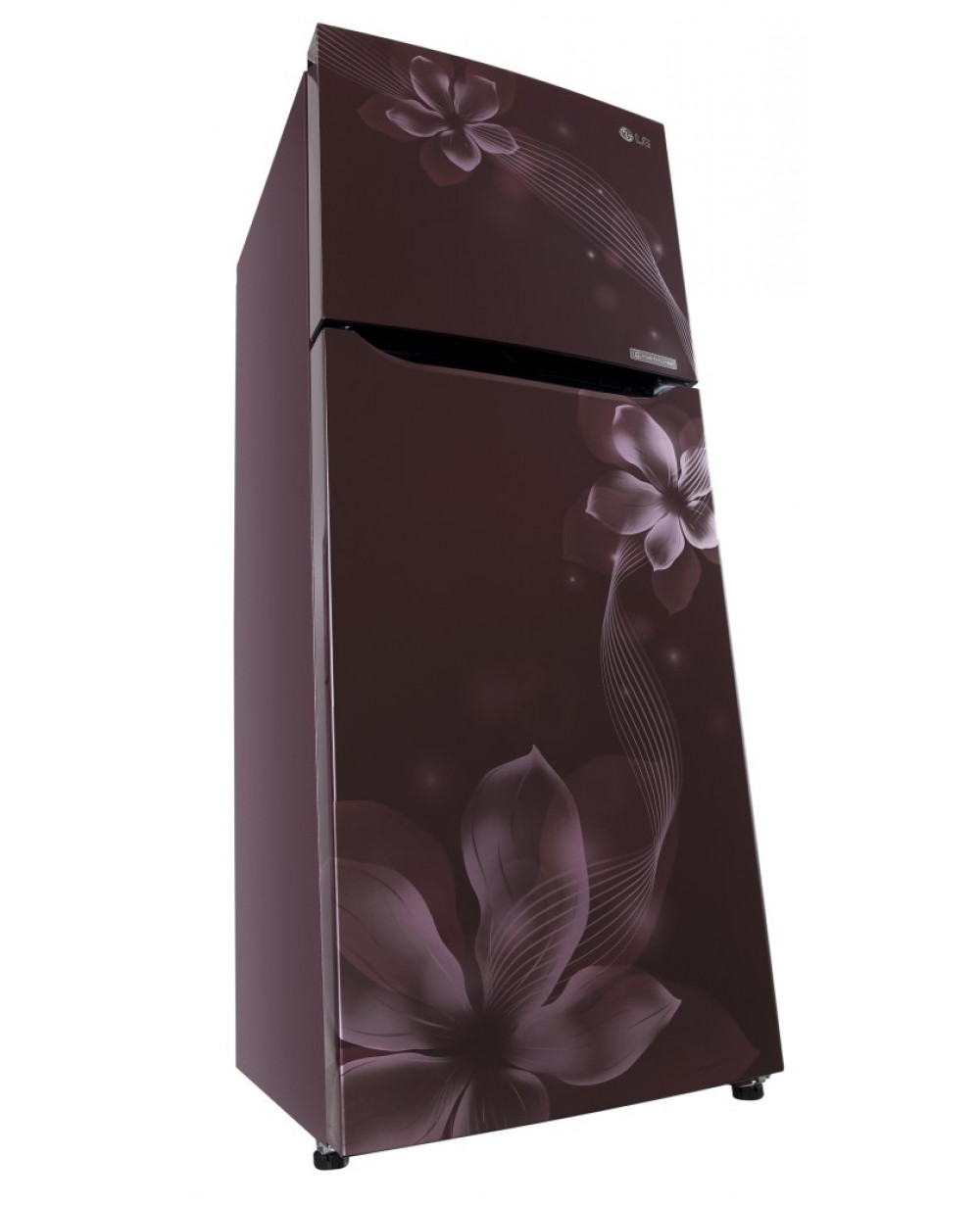 LG Refrigerator (GLK272SPTL.ARGQ)(258ltr)