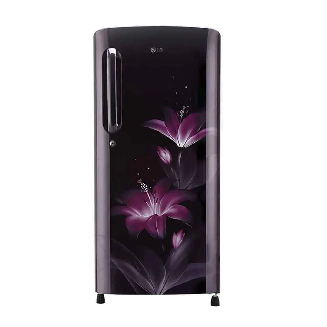 LG Refrigerator (GLB205ABGB)(190ltr)