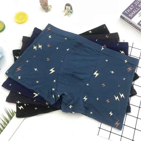 Pack Of 4 Men Boxer Briefs Cotton Underwear (Color May Vary)