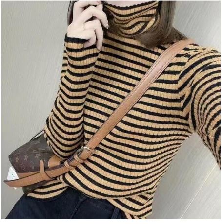 Winter Zebra Lining turtleneck Sweater
