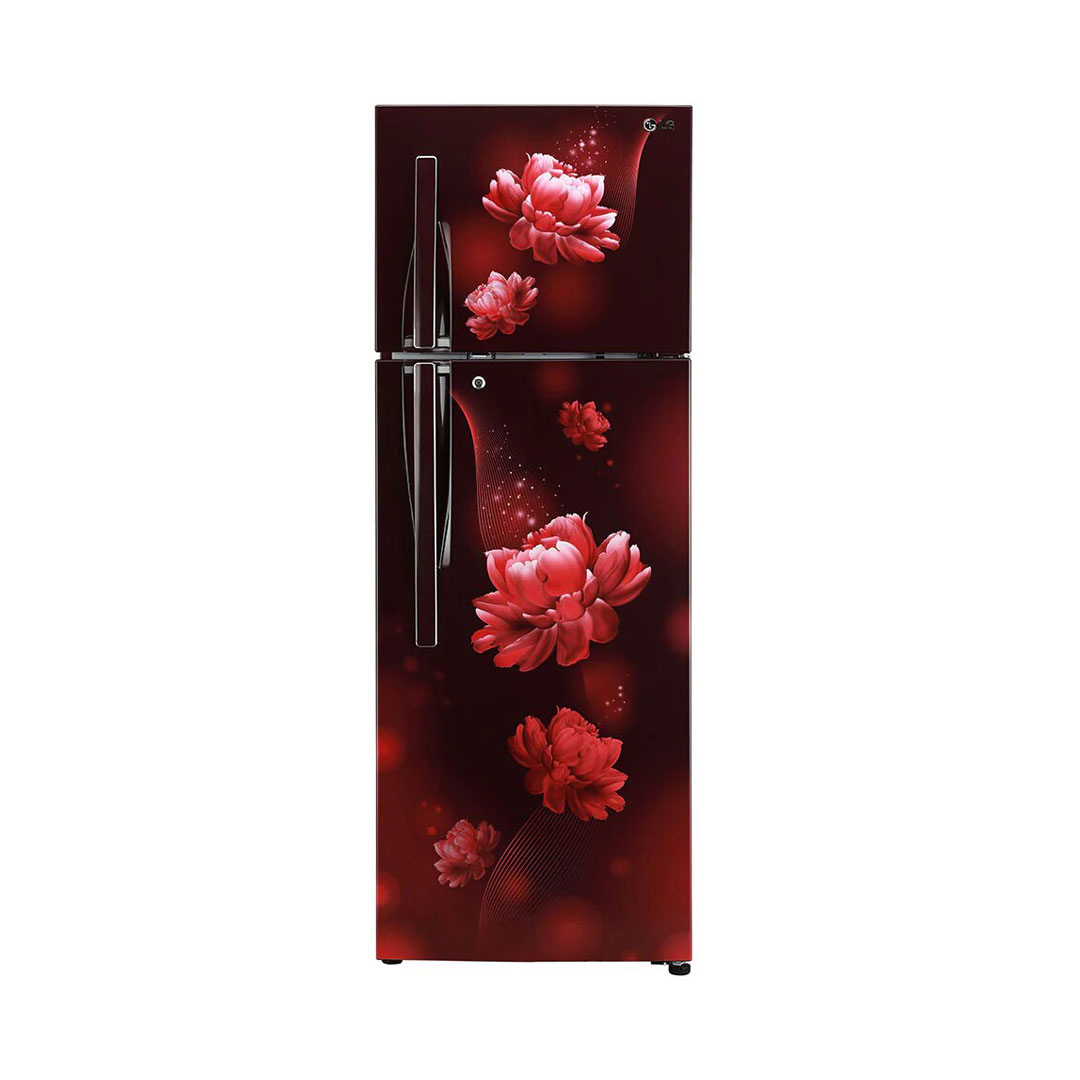 LG Refrigerator (GLB322RVBN)(310ltr)